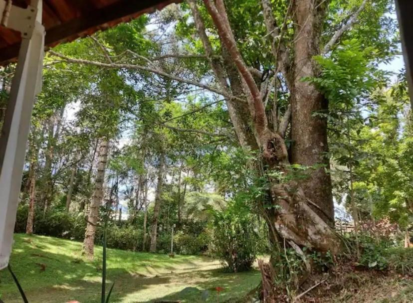 Sfx Casa de hóspedes São Francisco Xavier